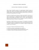 SISTEMA DE PERFIL PERSONAL EN PLAN PARA CONOCER A LOS DEMAS