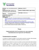 Implementación de E-commerce en una empresa manufacturera de Inyección de Plásticos