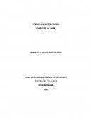 FORMUALCION ESTRATEGICA PANELITAS LA CABRA