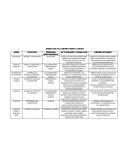 AREAS DE UN LABORATORIO CLINICO