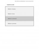 Marketing distribucion