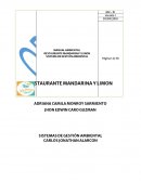 RESTAURANTE MANDARINA Y LIMON