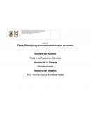 Principios y conceptos básicos en economía
