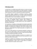 Reporte fluidos 2