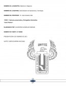 ANALISIS PARDUE FARMS