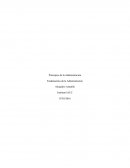 Principios de la administraciòn