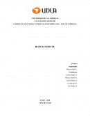 Proyecto Block House