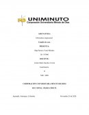 Fraude de tarjeta de crédito de identidad implícita