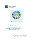 Ensayo de la teoria de la administracion