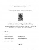 Tesina - Geriátricos Un Gran Trabajo. Un Gran Riesgo