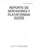 REPORTE DE SERVIDORES Y PLATAFORMAS
