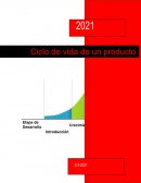 Sustentación ciclo de vida de un producto
