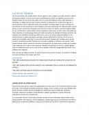 LUZ EN LAS TINIEBLAS