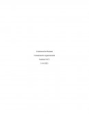 Comunicación Humana. Comunicación organizacional