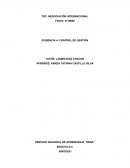Evidencia 4 CONTROL DE GESTIÓN