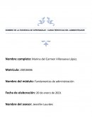 CARACTERISTICAS DEL ADMINISTRADOR