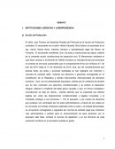 ENSAYO INSTITUCIONES JURIDICAS Y JURISPRUDENCIA