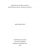 LABORATORIO DE MECANICA DE SUELOS I