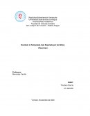 Navidad, la Temporada más Esperada por los Niños (Reportaje)