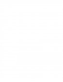 ENSAYO HISTORIA DE LA SALUD OCUPACIONAL