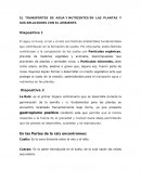 EL TRANSPORTES DE AGUA Y NUTRIENTES EN LAS PLANTAS Y SUS RELACIONES CON EL AMBIENTE
