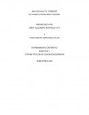 ANALISIS WALT EL SOÑADOR