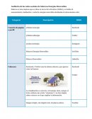 Auditoría de las redes sociales de una empresa
