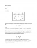 Analisis numerico Metodo euler