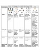 CUADRO COMPARATIVO DE LAS TOPOLOGÍAS DE LAS REDES