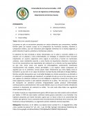 Vida ¿Una cuestión de grasas?