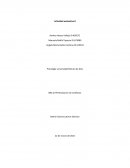 El conflicto armado y su impacto humanitario y ambiental: tendencias durante la pandemia