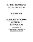 DERECHOS HUMANOS, CULTURA Y DEMOCRACIA