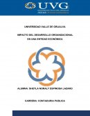IMPACTO DEL DESARROLLO ORGANIZACIONAL