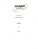 Evidencia de aprendizaje. Algebra Lineal