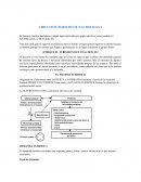 CIRCUITOS TURISTICOS NACIONALES