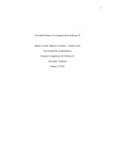 PMI Ingeniería de software