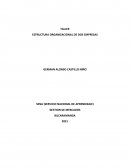 TALLER ESTRUCTURA ORGANIZACIONAL DE DOS EMPRESAS