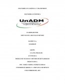 MODELO DE NEGOCIO Y MÉTODO DE RENTABILIDAD