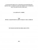 Actividad de proyecto Especificar parámetros de diseño para la presentación del producto y/o servicio según segmentos del mercado