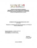 INFORME DE PRÁCTICAS PROFESIONALES DEL PNF IP