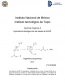 Importancia biológica de las bases de Schiff