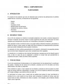 COMPLEMENTARIO . PLANTACIONES