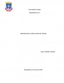 SISTEMAS DE ACUMULACION DE COSTOS