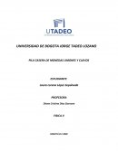 PILA CASERA DE MONEDAS LIMONES Y CLAVOS