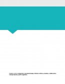 Fundamentación de la evaluación neuropsicológica y daño cerebral