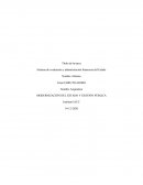 Sistema de evaluación y administración financiera del Estado