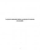 EFECTOS DE LA TEMPERATURA SOBRE LA VEGETACIÓN