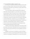FALTA DEL CONOCIMIENTO SOBRE EL CUIDADO DEL AGUA