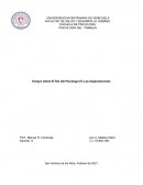 Ensayo Sobre El Rol Del Psicólogo En Las Organizaciones