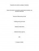 Sintesis del articulo "el pensamiento organizacional"
